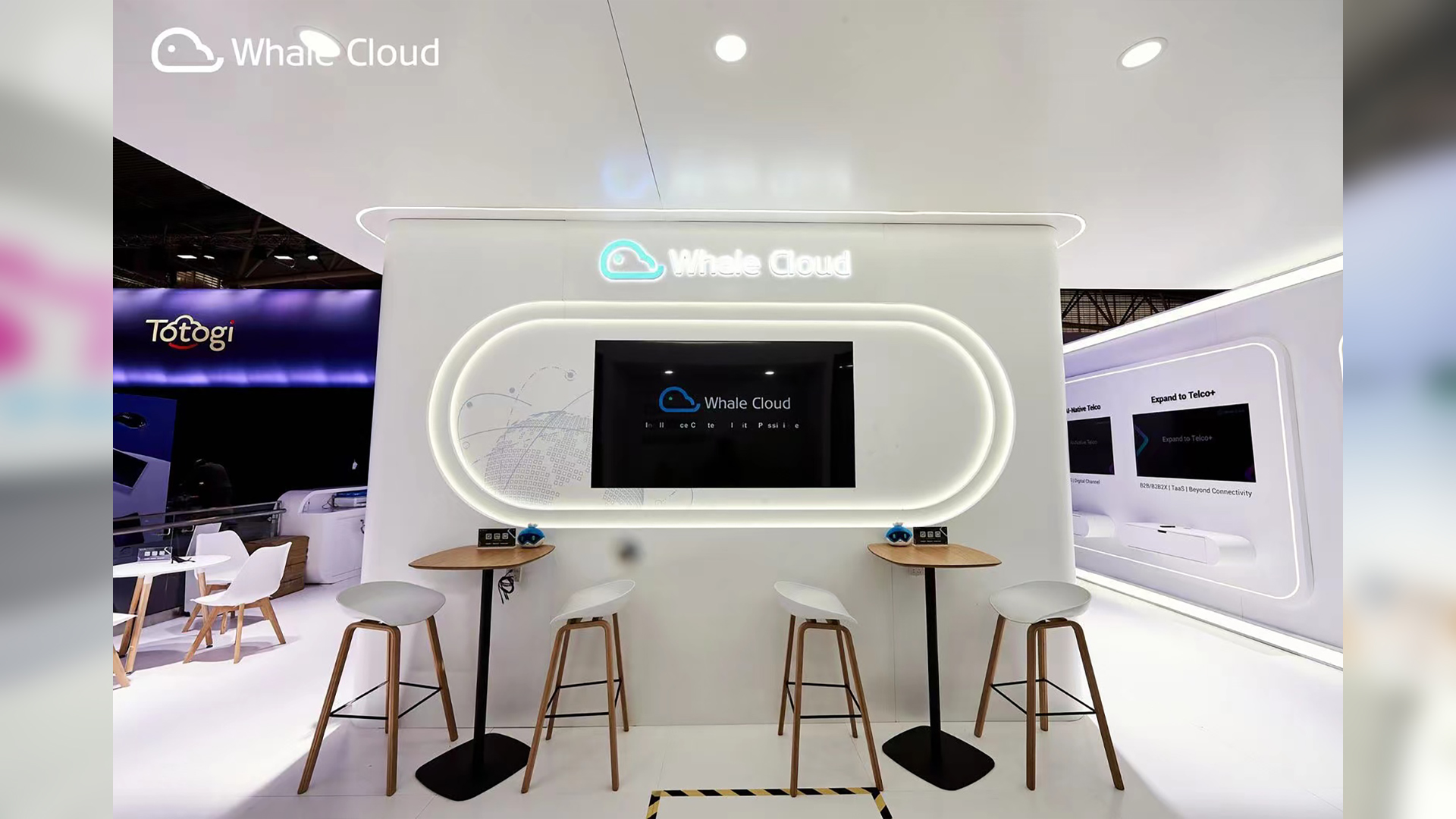 Whale Cloud_003-1